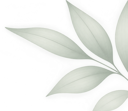 Wellness for a Brighter You